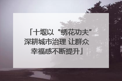 十堰以“绣花功夫”深耕城市治理 让群众幸福感不断提升
