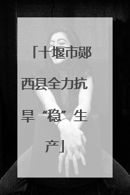 十堰市郧西县全力抗旱“稳”生产
