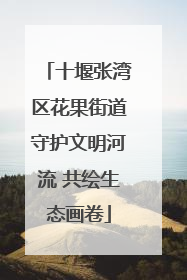 十堰张湾区花果街道守护文明河流 共绘生态画卷