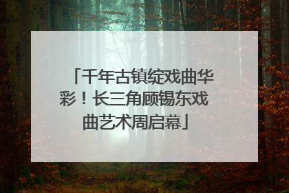 千年古镇绽戏曲华彩！长三角顾锡东戏曲艺术周启幕