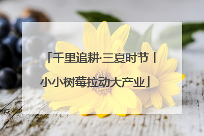 千里追耕·三夏时节丨小小树莓拉动大产业