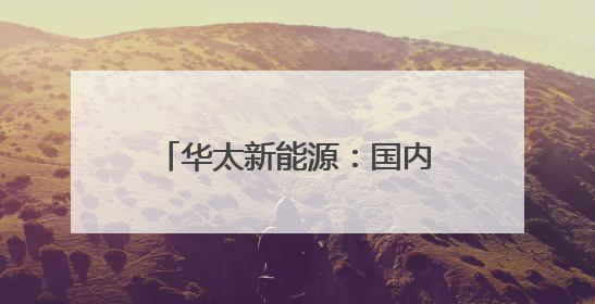 华太新能源：国内先锋奋争国际龙头