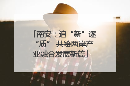 南安：追“新”逐“质” 共绘两岸产业融合发展新篇