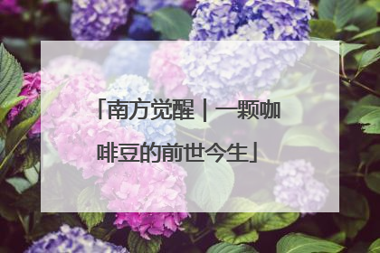 南方觉醒｜一颗咖啡豆的前世今生