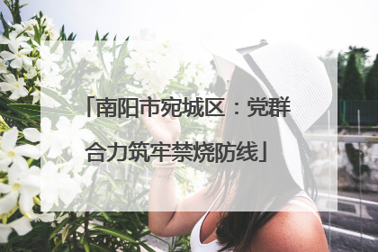 南阳市宛城区：党群合力筑牢禁烧防线
