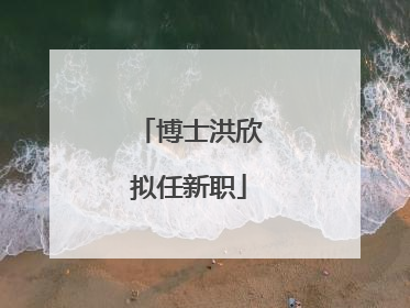 博士洪欣拟任新职