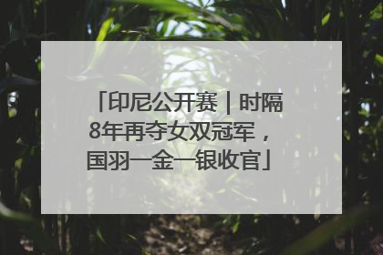 印尼公开赛｜时隔8年再夺女双冠军，国羽一金一银收官