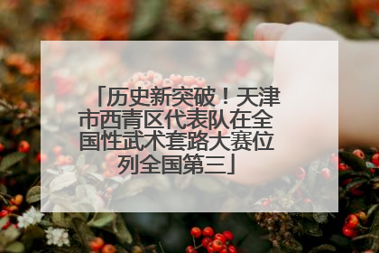 历史新突破！天津市西青区代表队在全国性武术套路大赛位列全国第三