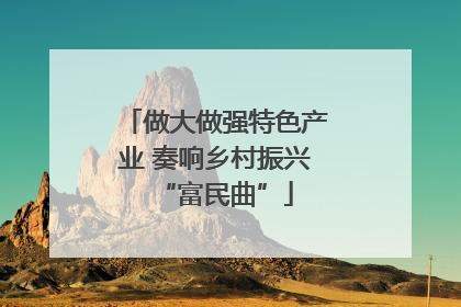 做大做强特色产业 奏响乡村振兴“富民曲”