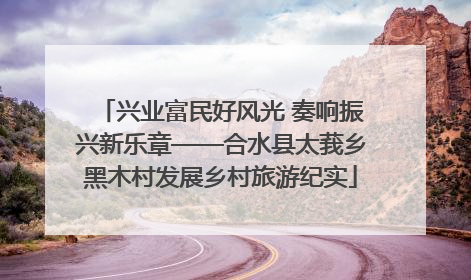 兴业富民好风光 奏响振兴新乐章——合水县太莪乡黑木村发展乡村旅游纪实
