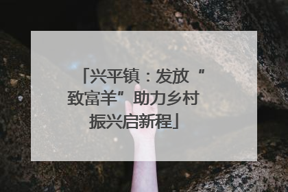 兴平镇：发放“致富羊”助力乡村振兴启新程