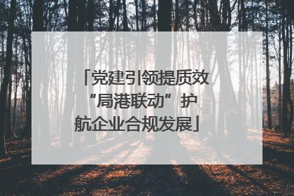 党建引领提质效 “局港联动”护航企业合规发展
