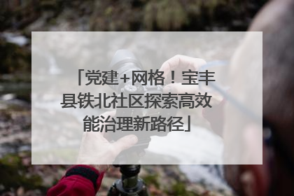 党建+网格！宝丰县铁北社区探索高效能治理新路径
