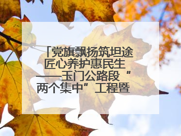 党旗飘扬筑坦途 匠心养护惠民生——玉门公路段“两个集中”工程暨示范桥创建项目圆满收官