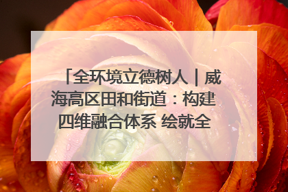 全环境立德树人｜威海高区田和街道：构建四维融合体系 绘就全环境立德树人新画卷
