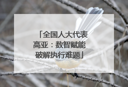 全国人大代表高亚：数智赋能破解执行难题