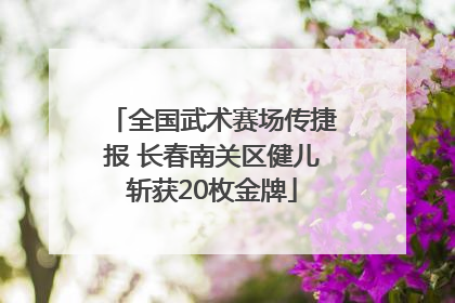 全国武术赛场传捷报 长春南关区健儿斩获20枚金牌