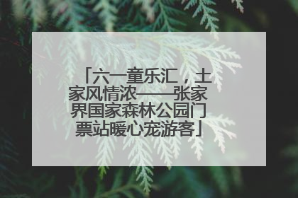 六一童乐汇，土家风情浓——张家界国家森林公园门票站暖心宠游客