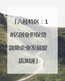 六枝特区：18亿创业担保贷款助企业发展提质加速