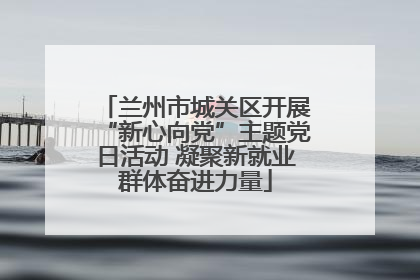 兰州市城关区开展“新心向党”主题党日活动 凝聚新就业群体奋进力量