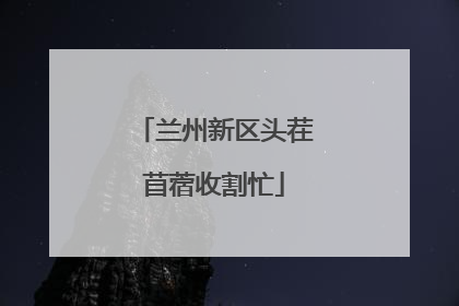 兰州新区头茬苜蓿收割忙