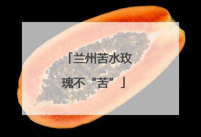 兰州苦水玫瑰不“苦”