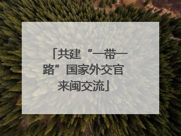 共建“一带一路”国家外交官来闽交流