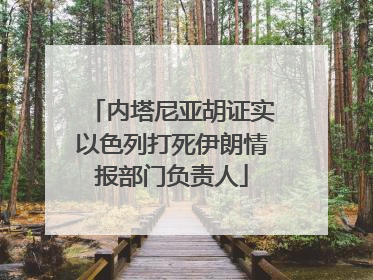 内塔尼亚胡证实以色列打死伊朗情报部门负责人
