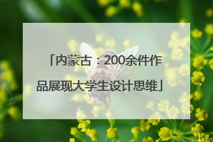 内蒙古：200余件作品展现大学生设计思维