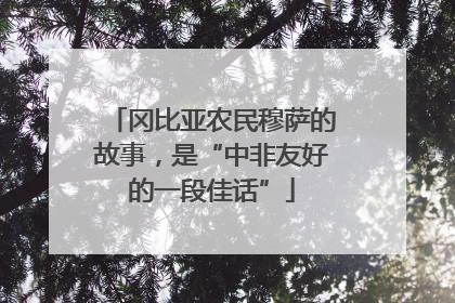 冈比亚农民穆萨的故事，是“中非友好的一段佳话”
