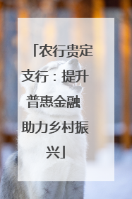 农行贵定支行：提升普惠金融 助力乡村振兴