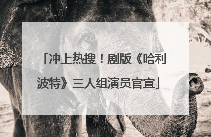 冲上热搜！剧版《哈利波特》三人组演员官宣