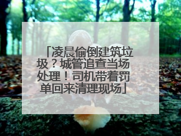 凌晨偷倒建筑垃圾？城管追查当场处理！司机带着罚单回来清理现场