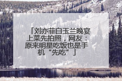 刘亦菲白玉兰晚宴上菜先拍照，网友：原来明星吃饭也是手机“先吃”