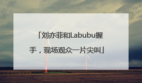 刘亦菲和Labubu握手，现场观众一片尖叫