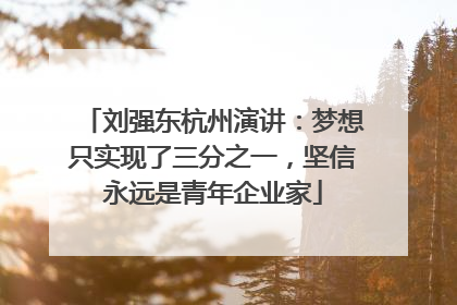 刘强东杭州演讲：梦想只实现了三分之一，坚信永远是青年企业家