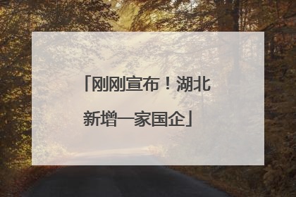 刚刚宣布！湖北新增一家国企