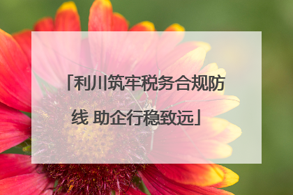 利川筑牢税务合规防线 助企行稳致远