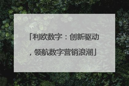 利欧数字：创新驱动，领航数字营销浪潮