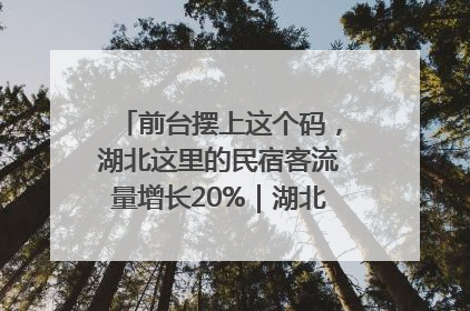 前台摆上这个码，湖北这里的民宿客流量增长20%｜湖北市场监管所的故事