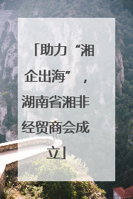 助力“湘企出海”，湖南省湘非经贸商会成立