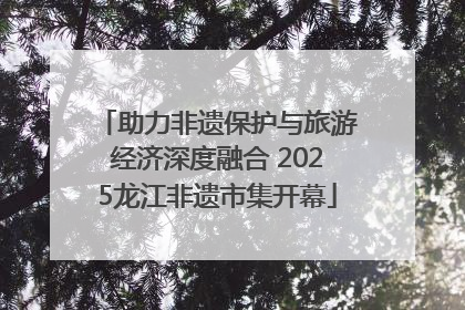 助力非遗保护与旅游经济深度融合 2025龙江非遗市集开幕