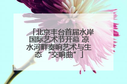 北京丰台首届水岸国际艺术节开幕 凉水河畔奏响艺术与生态 “交响曲”