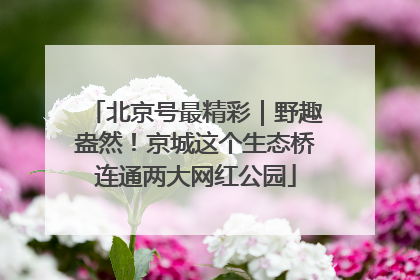 北京号最精彩｜野趣盎然！京城这个生态桥连通两大网红公园