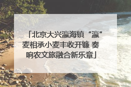 北京大兴瀛海镇“瀛”麦相承小麦丰收开镰 奏响农文旅融合新乐章