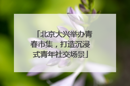 北京大兴举办青春市集，打造沉浸式青年社交场景