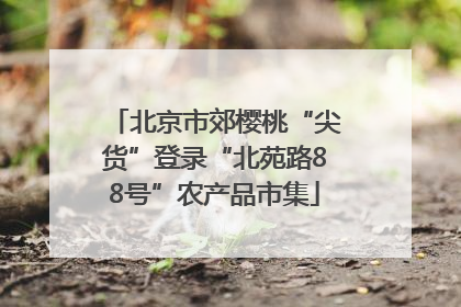 北京市郊樱桃“尖货”登录“北苑路88号”农产品市集