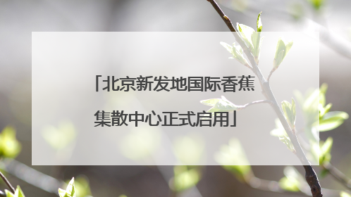北京新发地国际香蕉集散中心正式启用