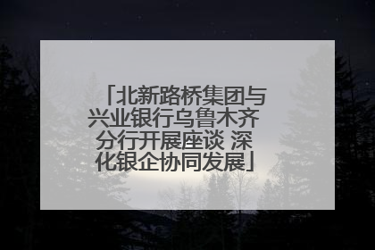 北新路桥集团与兴业银行乌鲁木齐分行开展座谈 深化银企协同发展
