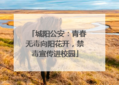 城阳公安：青春无毒向阳花开，禁毒宣传进校园
